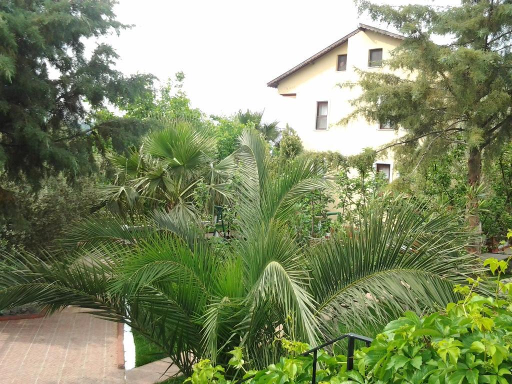 Eftelya Apart Oludeniz Exterior foto
